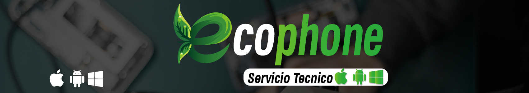 Proyecto 2